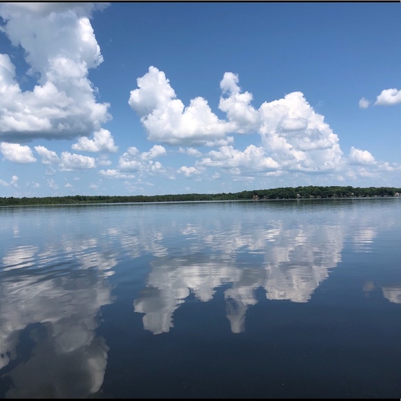 Meet your Posher, Millie - Picture 3 of 5